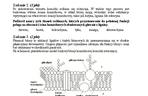 Matura 2013 biologia p. rozszerzony