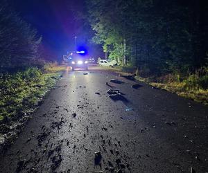 Potworny wypadek pod Mińskiem Mazowieckim. Opel rąbnął w drzewo. Dwie osoby nie żyją