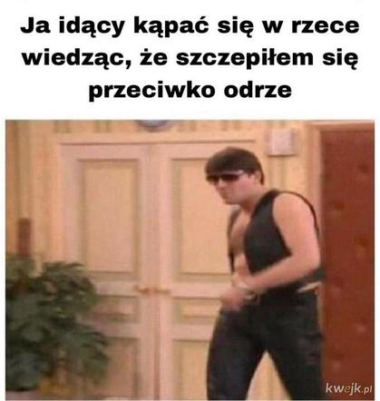 Zatruta Odra. Internauci komentują reakcje rządu [MEMY] 