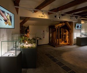 Muzeum Archeologiczne w Krakowie