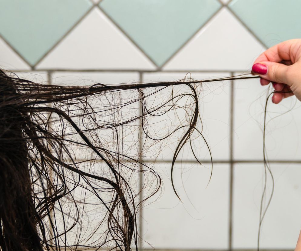 Robisz olejowanie włosów w ten sposób? Sprawdź, kiedy robisz to źle