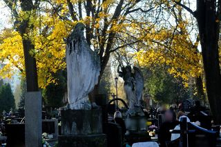  Lublin. Kwesta na cmentarzu przy ul. Lipowej. Czy we Wszystkich Świętych uda się pobić rekord? [ZDJĘCIA]