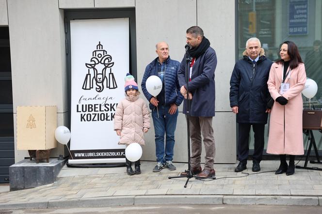 Odsłonięcie nowego koziołka w Lublinie. Oto Maciej!