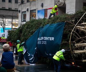 W Nowym Jorku stanęła choinka. Tłumy towarzyszyły jej transportowi