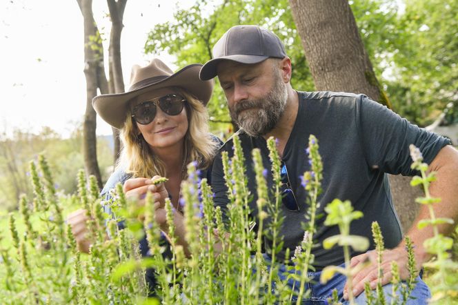 Glamping Lichoty i Wrońskiej