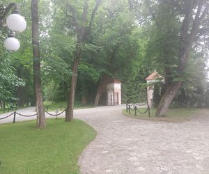 Zamek Dubiecko