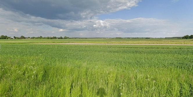 Niemstów. Nazwa tej wsi na Podkarpaciu wywodzi się od łąk leżących na skraju lasu. Pierwsi osadnicy budowali na nich swoje chaty