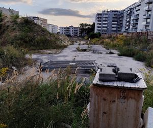 Michał S. Zatrzymany i aresztowany tymczasowo