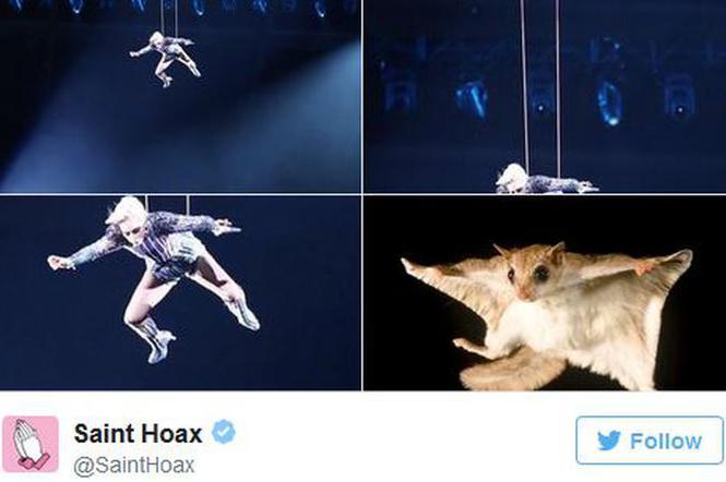 Lady Gaga na Super Bowl 2017 - memy