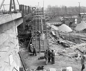 Negatywy przeleżały w piwnicy ponad 50 lat. To prawdziwe perełki fotograficzne