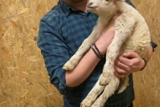 Zostałem mamą Henia