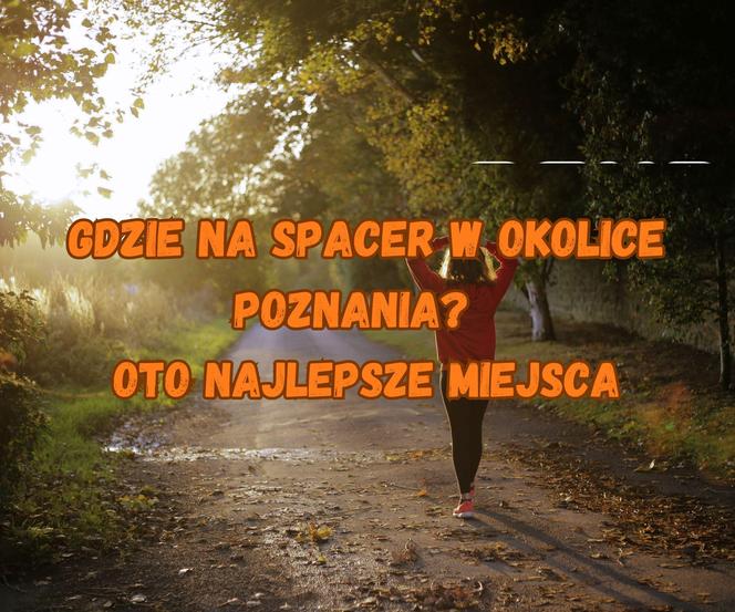 Gdzie na spacer w okolice Poznania? Oto najlepsze miejsca!