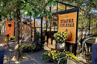 Westernowa farma dyniowa w Radawie.