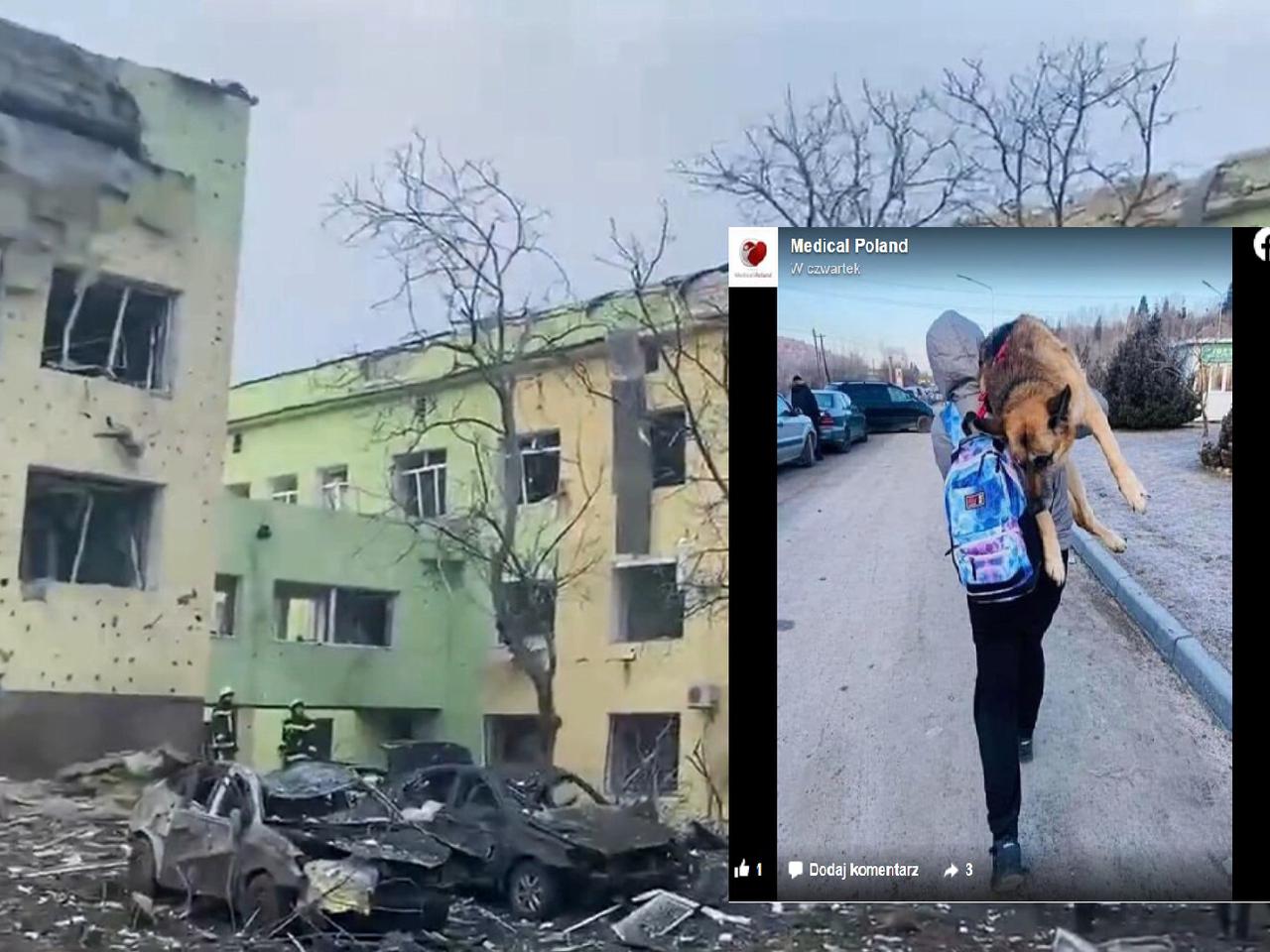 Ukrainiec niósł swojego chorego psa na plecach 15 km do polskiej granicy! Ta historia porusza do łez [ZDJĘCIA]