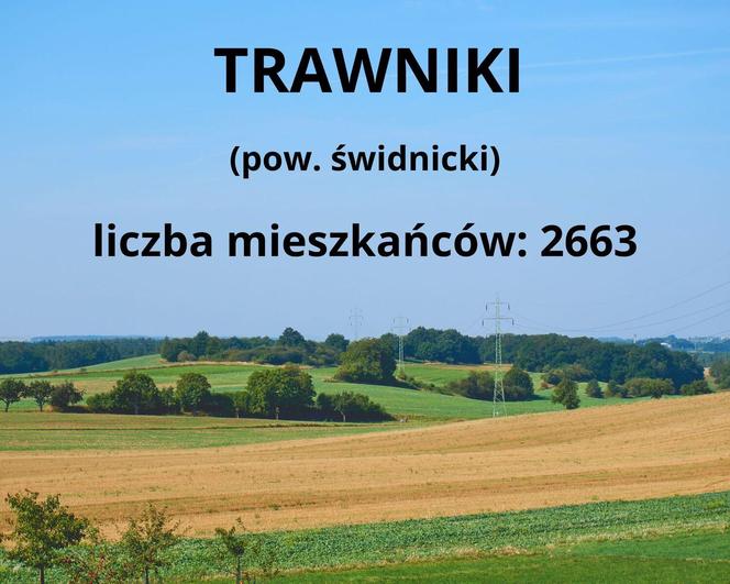 Ranking największych wsi w woj. lubelskim. W tych 10 miejscowościach mieszka najwięcej osób!