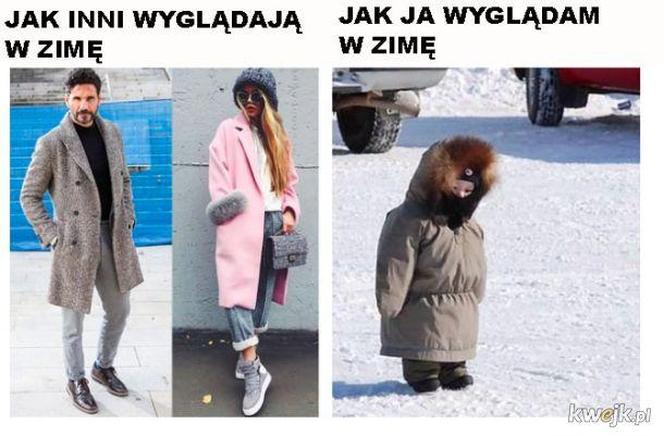 Memy o zimie roztapiają smutki. Te śnieżne obrazki rozbawią cię do łez [TOP 75]