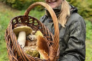 Ostatnia szansa na takie grzyby 