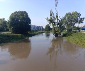 Stan rzeki Ślęza cały czas się podnosi. Przekroczono już stan alarmowy. Jak wygląda sytuacja?