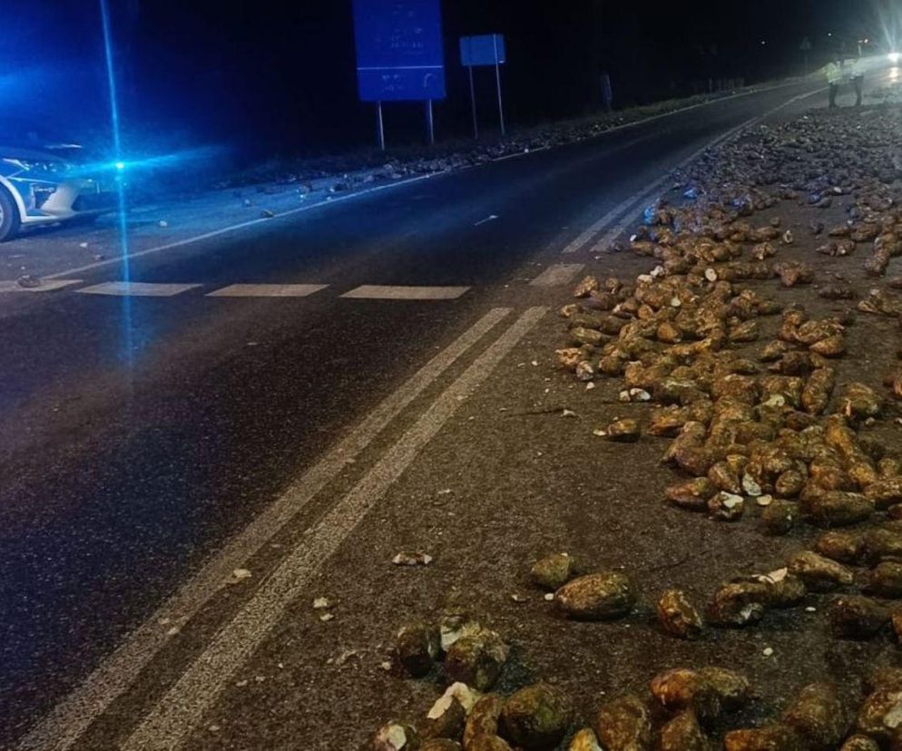 Buraki na drodze w Kujawsko-Pomorskiem. Niecodzienna sytuacja zakończyła się mandatem 300 zł [GALERIA]