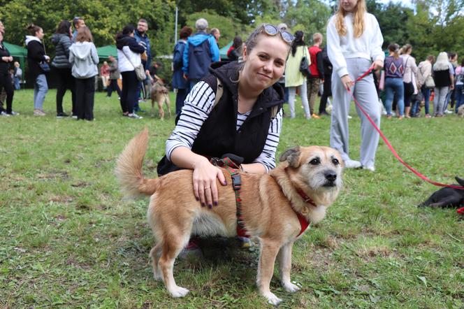 IX Piknik Przyjaciół Schroniska w Toruniu