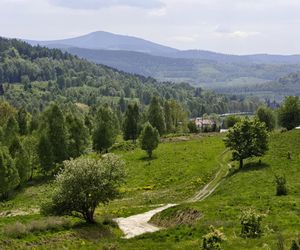 Lądek