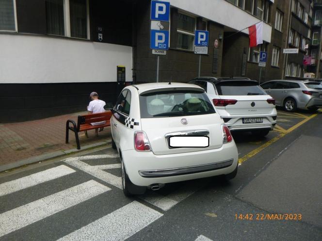 "Najlepsi" kierowcy są w Katowicach. A jak świetnie parkują! I jeszcze są potem zdziwieni mandatami