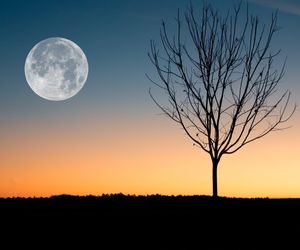 Pełnia Księżyca w lutym 2024 namiesza. Przygotujcie się na emocjonalną rewolucję!