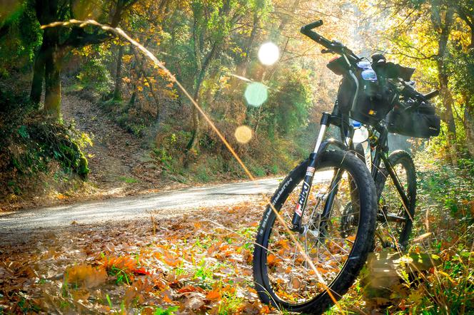 Rowerzysta wracał do domu pasem granicznym. Za skracanie drogi dostał mandat