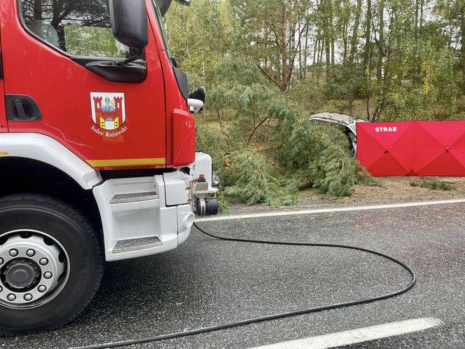 45-latek wjechał wprost pod nadjeżdżającą ciężarówkę! Tragedia w Bydgoszczy 