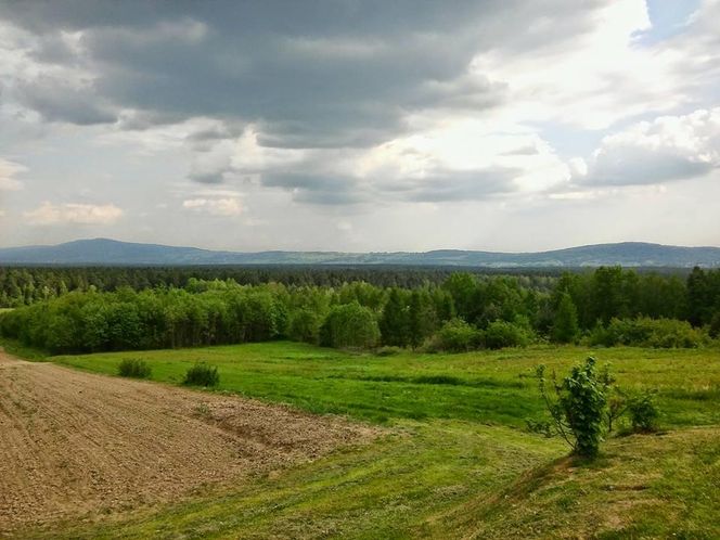 Klonów - urokliwa wieś w sercu Puszczy Świętokrzyskiej