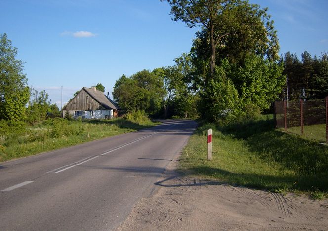 Drogi