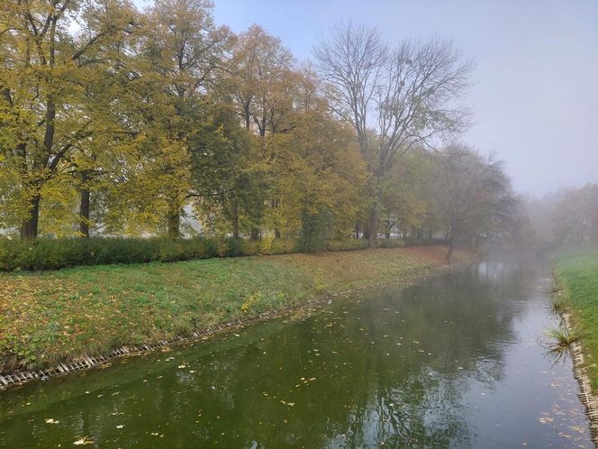 Zamojski Park jesienią