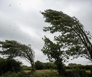 Wichury nad Lubelszczyzną. Czy to zapowiedź chaosu przed nadchodzącym weekendem?