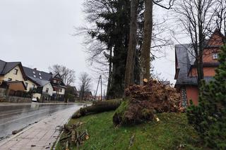 Tragedia w Zakopanem. Basia zginęła, jej pies przeżył