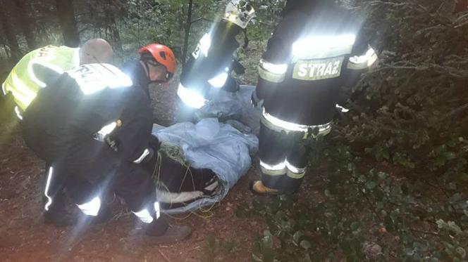 SZOKUJĄCY wypadek w Łososinie Dolnej. Paralotniarz spadł na ziemię z dużej wysokości 