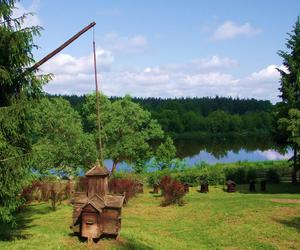 Narwiański Park Narodowy