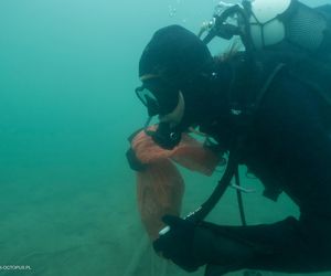 jezioro Tarnobrzeskie Niezwykła akcja płetwonurków