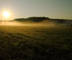 To najlepsze miejsca na Warmii i Mazurach na jesienny relaks. Wskazała je sztuczna inteligencja