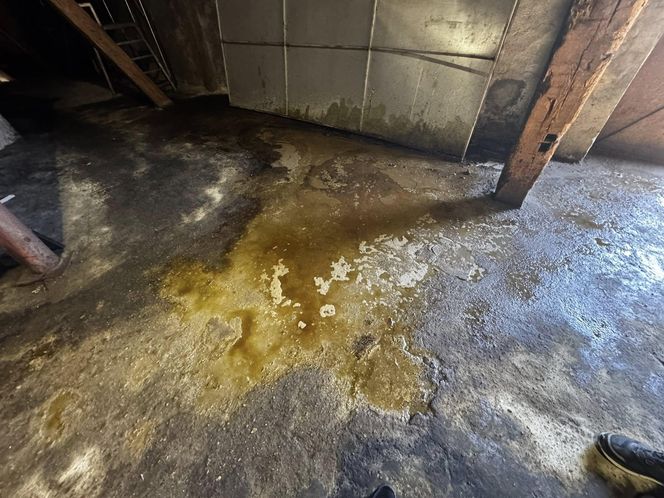 Kolejny raz w Inowrocławiu kwas siarkowy mógł trafić do kanalizacji. "Oni działają jak mafia. Mogą być wszędzie"