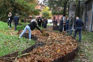 Nowa przestrzeń ekologiczna w Krakowie. Studenci politechniki zbudowali glebarium