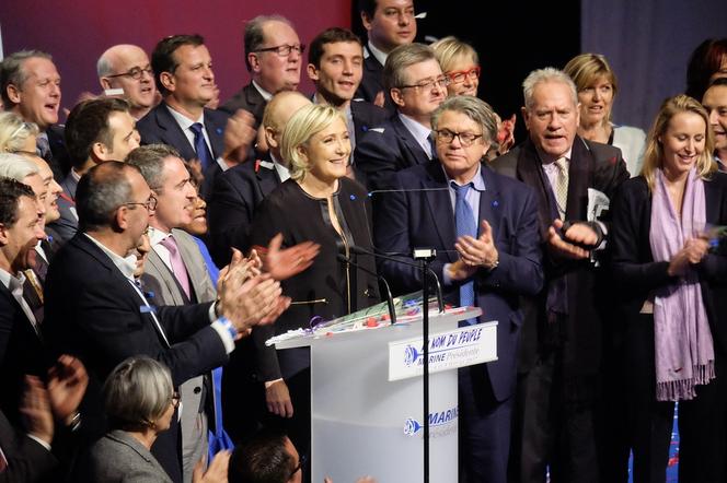 Marine Le Pen, Zjednoczenie Narodowe