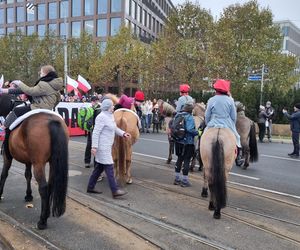 III Poznański Marsz Niepodległości