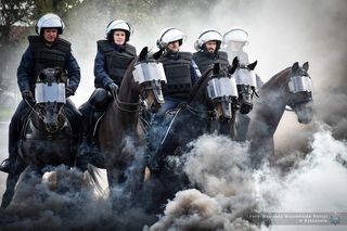 Policyjne konie zdały egzamin! Bary i Wag pierwszy raz wzięły udział w teście