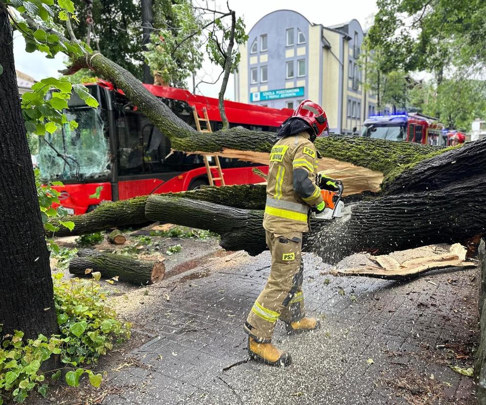 Drzewo przewróciło się na miejski autobus. Są osoby poszkodowane