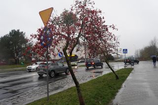 To najmłodsze osiedle Olsztyna. Ma tylko 17 lat. Wcześniej były tam pola i łąki
