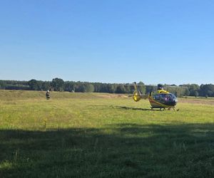 Tragedia na drodze. Wjechał w krowę motocyklem. Zwierzę nie żyje, lądował śmigłoiwec LPR