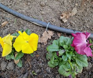 Park Kochanowskiego w Bydgoszczy, czyli serce bydgoskiej Dzielnicy Muzycznej!