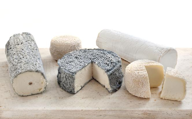 Wartości odżywcze sera koziego - wszystko o kozim serze