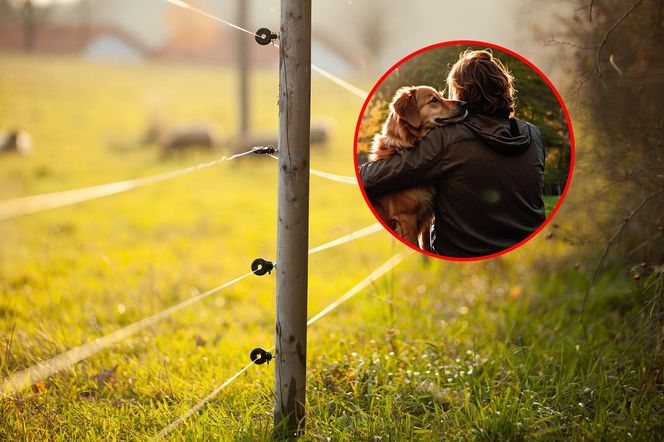 49-latka ciężko poparzona w ośrodku wypoczynkowym. Elektryczny pastuch miał chronić przed wydrami! 