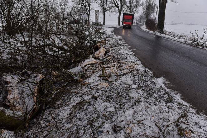 Śmiertelny wypadek Trzebczu Szlacheckim. Nie żyje 37-letni kierowca, który nie miał prawa jazdy